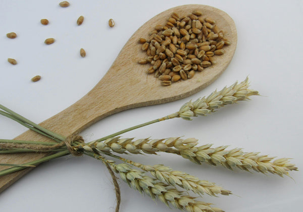 Why Millet Energy Bars Are Better Than Oat Bars (Science-Backed Benefits)